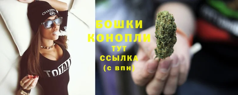 Бошки Шишки SATIVA & INDICA  где можно купить наркотик  Заинск 